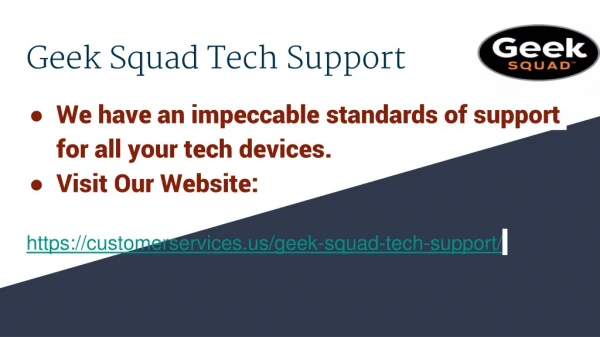 Geek sqaud tech support