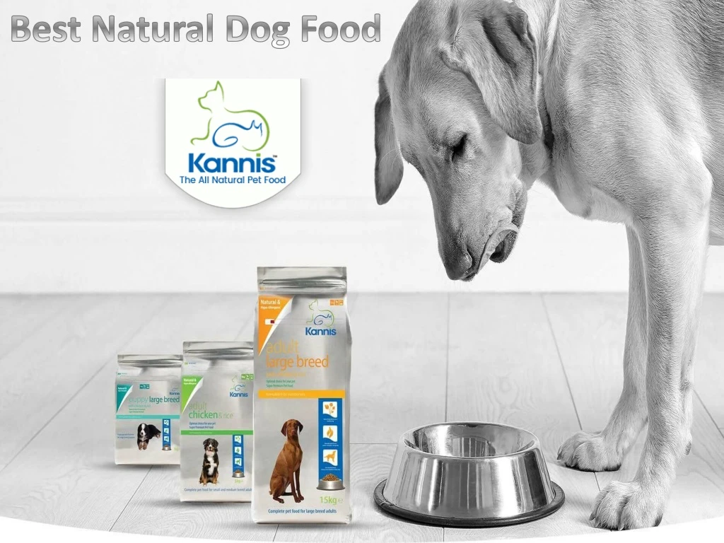 best natural dog food