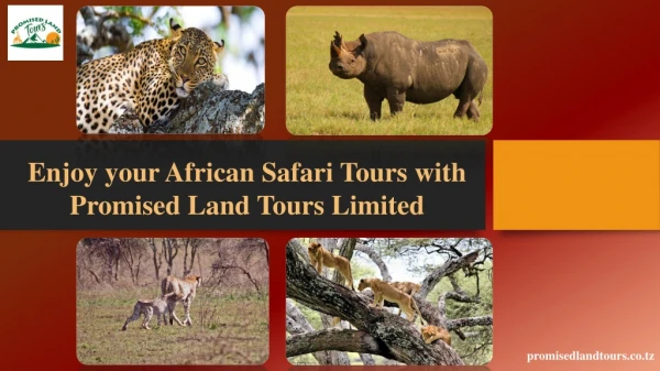 Enjoy your African Safari Tours with Promised Land Tours Limited