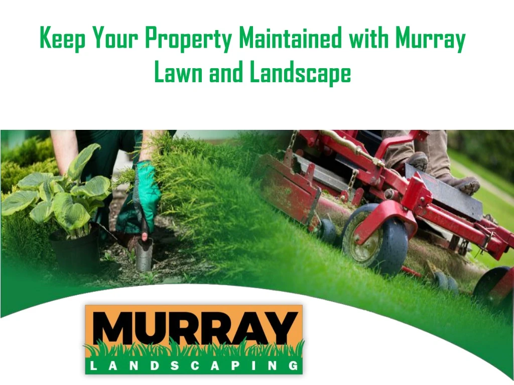 keep your property maintained with murray lawn