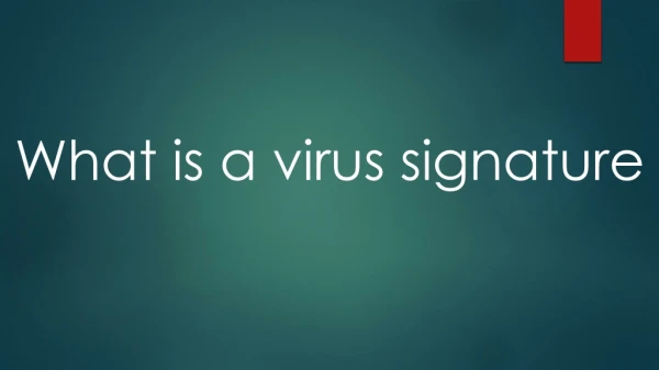 What Is a Virus Signature?