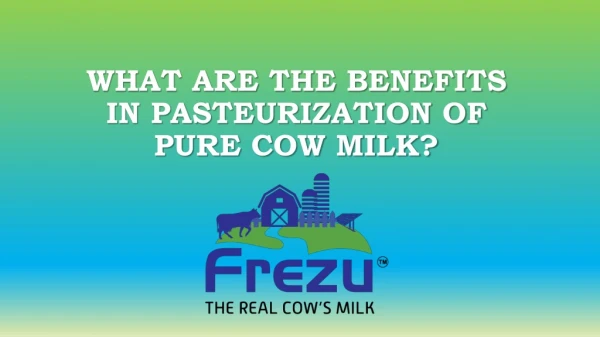 What are the benefits in pasteurization of pure cow milk