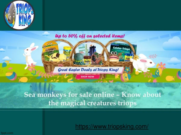 Sea monkeys for sale online – Know about the magical creatures triops
