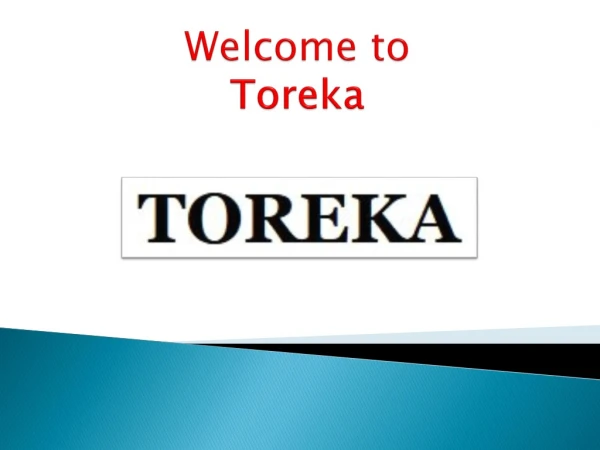 토토사이트추천 |안전놀이터 |검증사이트 |카지노 사이트 |바카라 사이트 | Toreka