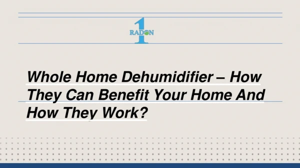 cEverything You Need to Know About a Whole Home Dehumidifier
