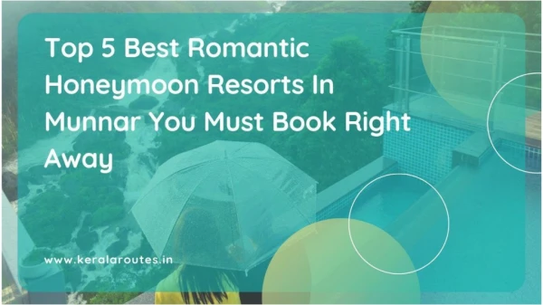 Top 5 Best Romantic Honeymoon Resorts In Munnar You Must Book Right Away