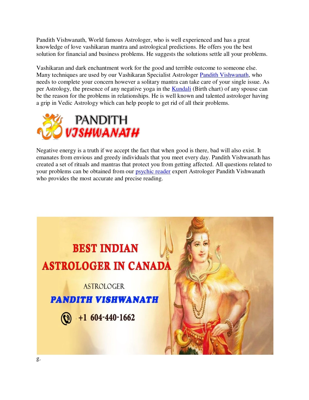 pandith vishwanath world famous astrologer