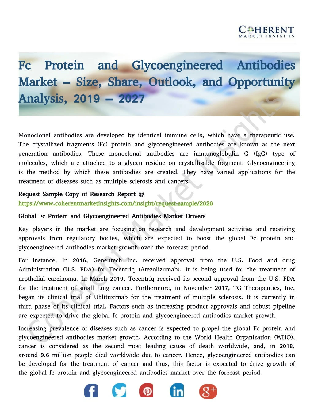 fc protein and glycoengineered antibodies
