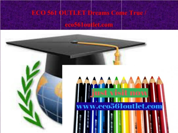ECO 561 OUTLET Dreams Come True / eco561outlet.com