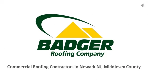 Commercial Roofing Contractors In Newark NJ