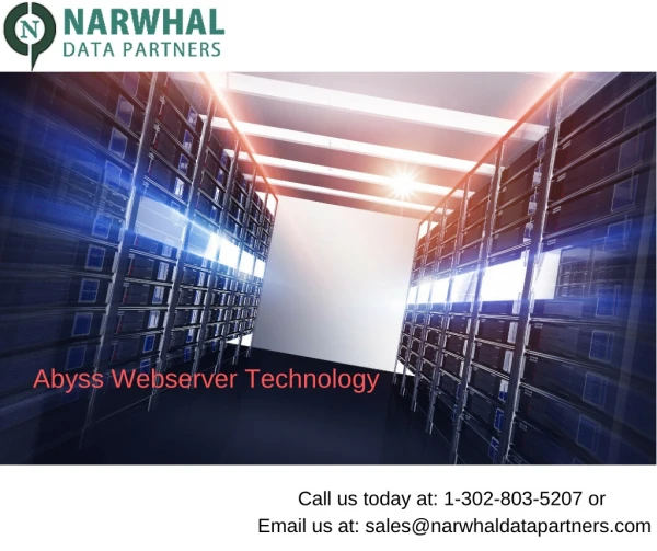 ERP Users Email List | Narwhal Data Partners in usa