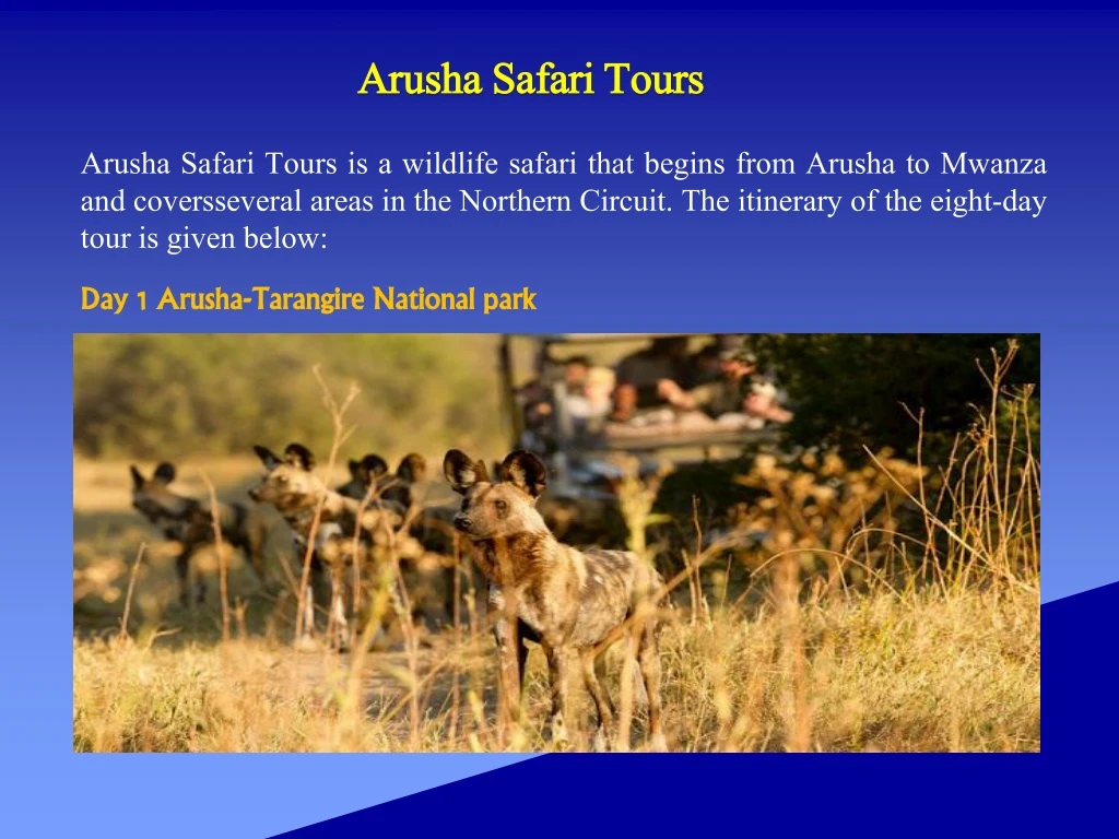 arusha safari tours
