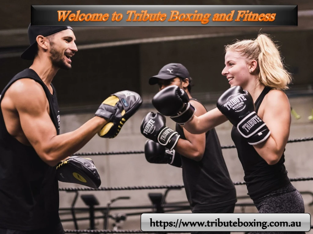 welcome to tribute boxing and fitness