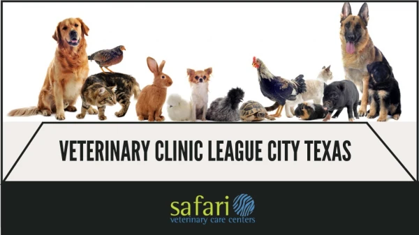 Are you looking for best treatment for your pet? Reasons Why your pet needs League City Veterinarian.