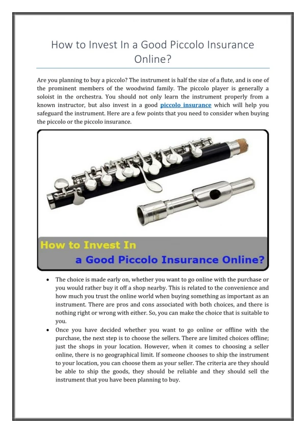 How to Invest In a Good Piccolo Insurance Online? | Musicinstrumentsins