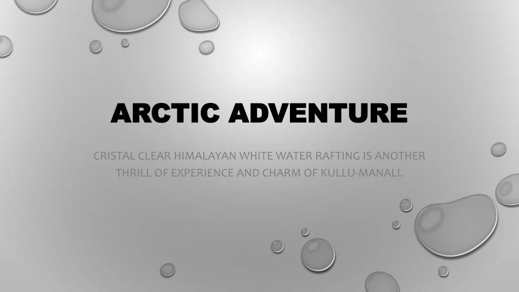 arctic adventure