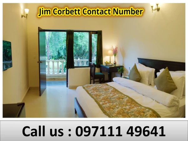 call us 097111 49641