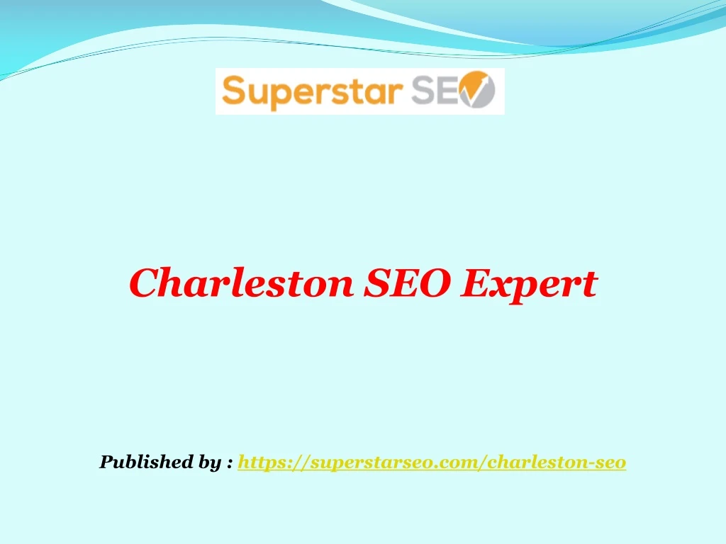 charleston seo expert published by https