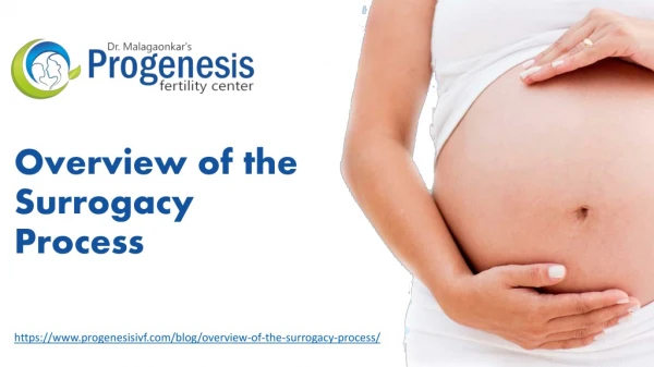 Overview of the Surrogacy Process
