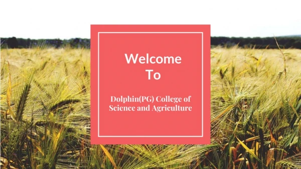 BSc Agriculture