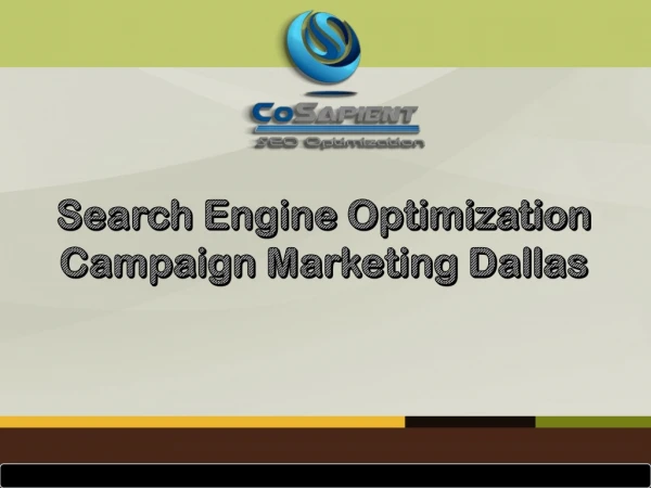 Search Engine Optimization Campaign Marketing Dallas