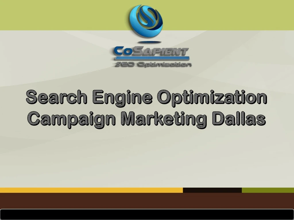 search engine optimization campaign marketing dallas