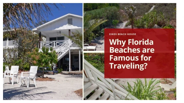 Why Florida Beaches are Famous for Traveling?