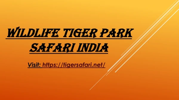 Wildlife Tiger Park Safari India