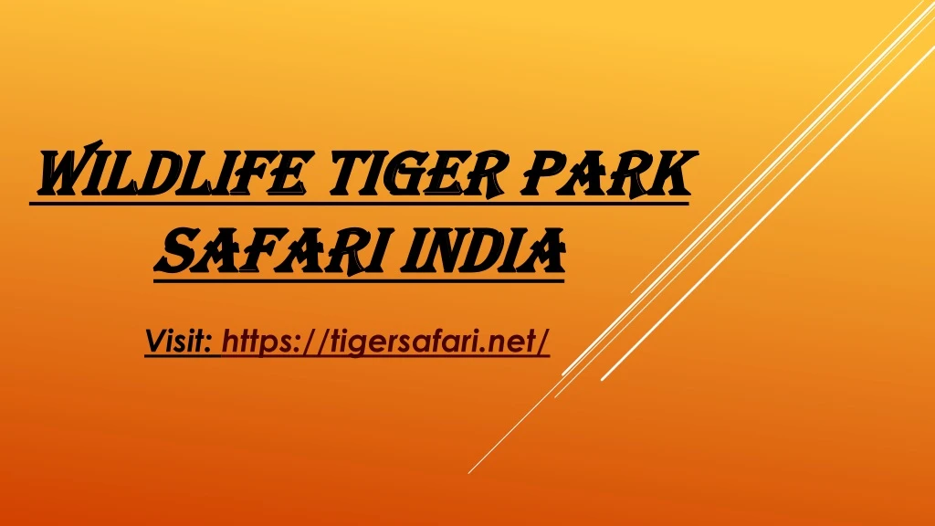 wildlife tiger park safari india