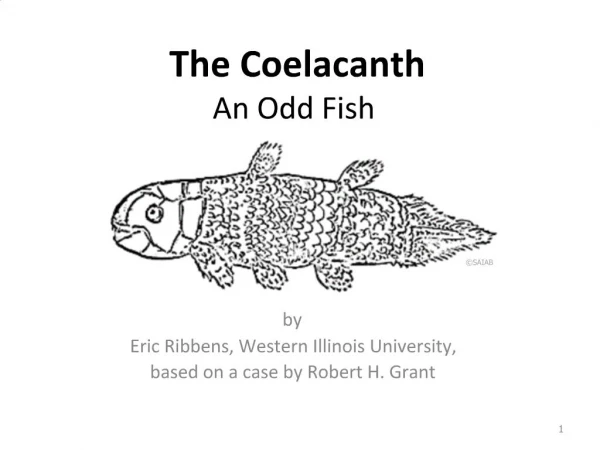 The Coelacanth An Odd Fish