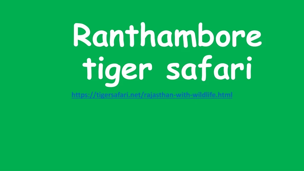 ranthambore tiger safari