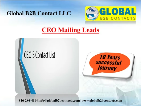 CEO Mailing Leads