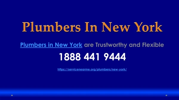 Plumbers in New York are Trustworthy and Flexible