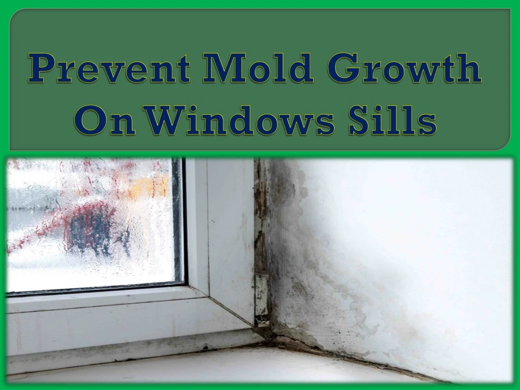 prevent mold growth on windows sills