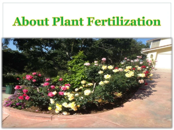 About Plant Fertilization