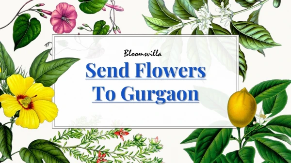 Send Flowers To Gurgaon By Bloomsvilla