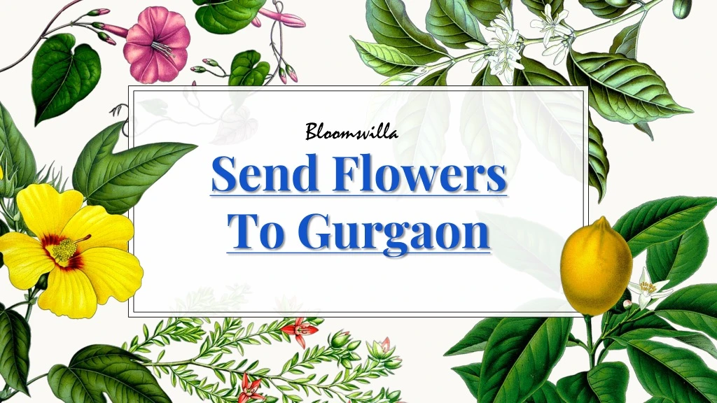 send flowers to gurgaon