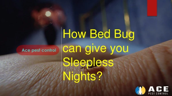 How Bed Bug can give you Sleepless Nights?