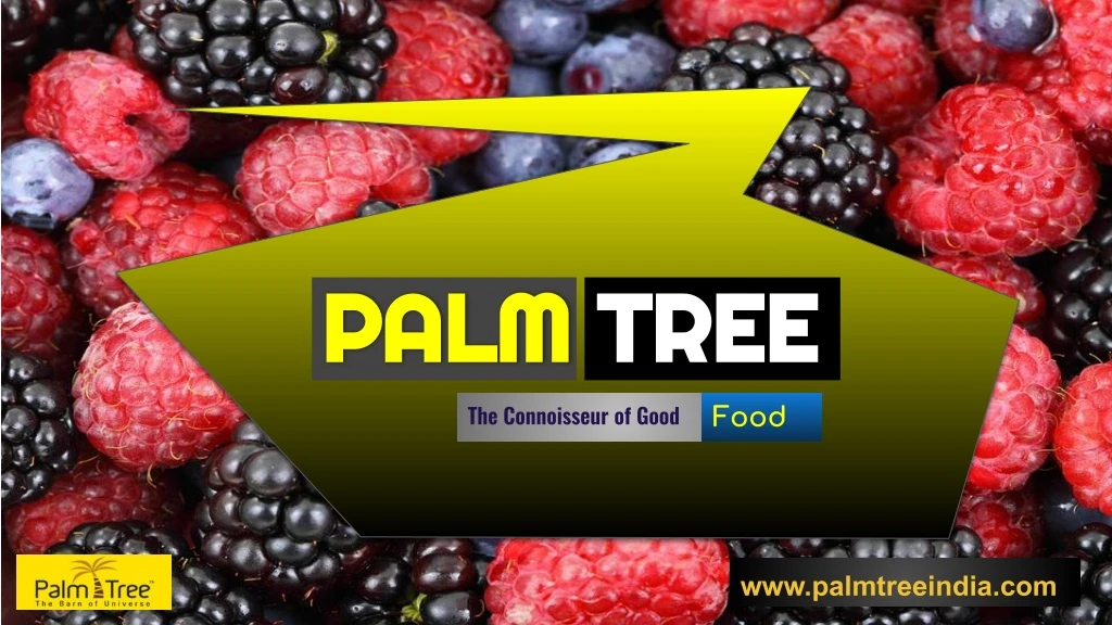 palm palm tree