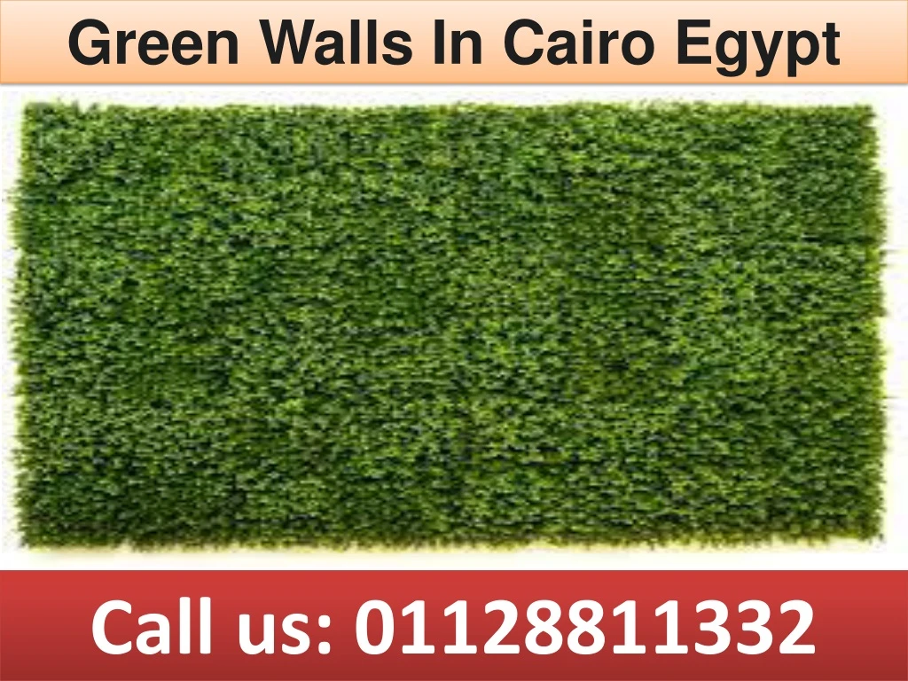 green walls in cairo egypt