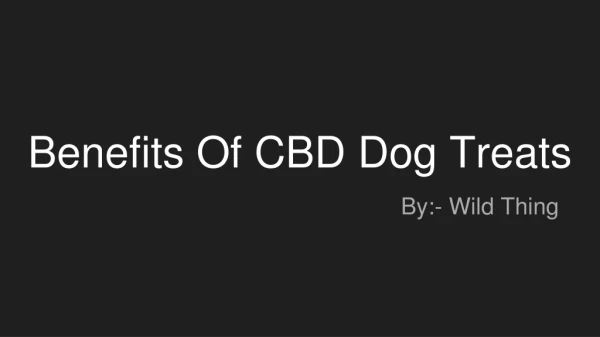 Benefits Of CBD Dog Treats