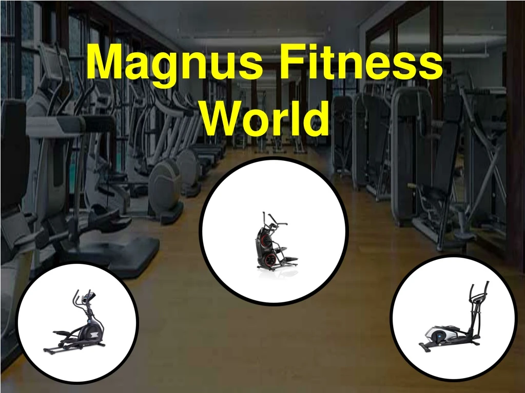 magnus fitness world