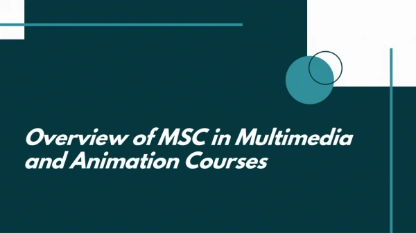 Overview of MSC in Multimedia and Animation Courses