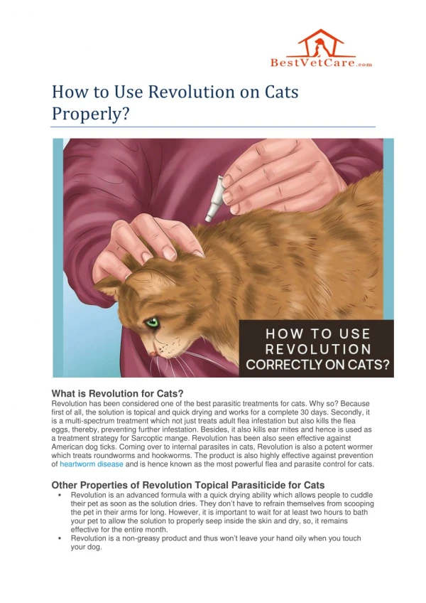How to Use Revolution on Cats Properly?