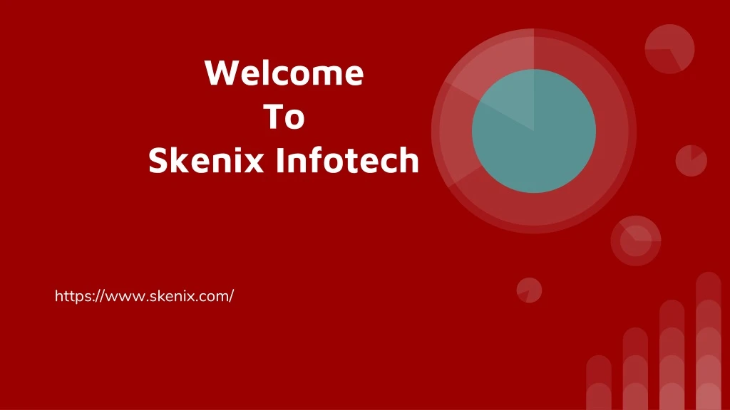 welcome to skenix infotech