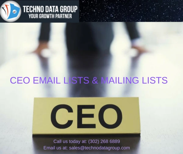 CEO Email Lists & Mailing Lists | Chief Executive Officer Email List | CEO Email Database in USA