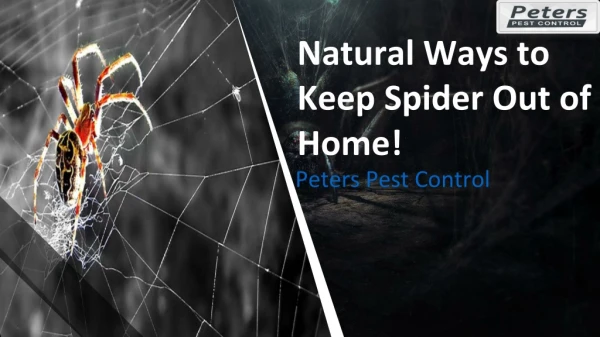Natural Ways to Keep Spider Out of Home!