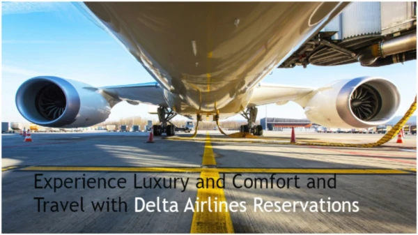 Experience Luxury and Comfort and Travel with Delta Airlines Reservations