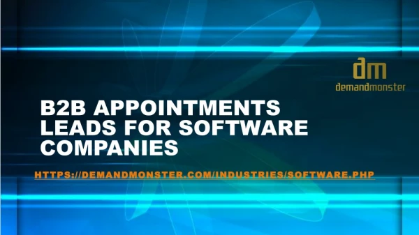 B2B APPOINTMENT LEADS FOR SOFTWARE COMPANIES