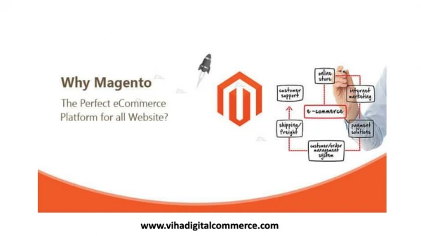 Magento Emerging as The Perfect eCommerce Platform for all Companies